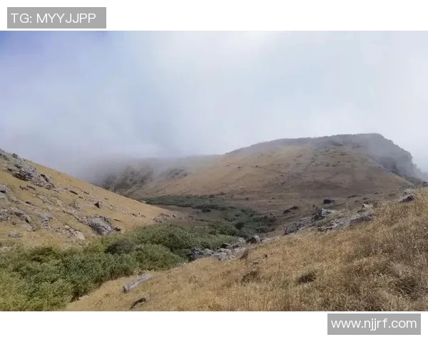 陈丽的极限运动人生:探索极限挑战与自我超越的深度对话 陈丽的极限运动人生:探索极限挑战与自我超越的深度对话