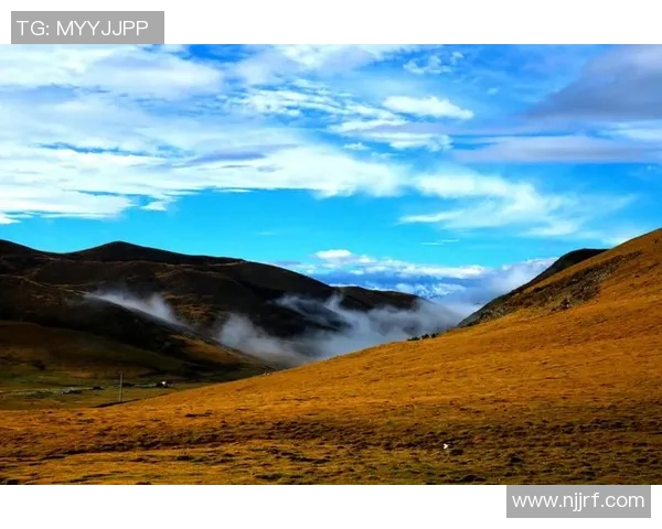 何思雨的心灵旅程：在风雨中寻找自我与希望的光芒