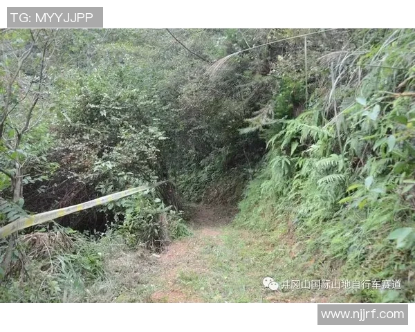 冈山与山形对决前瞻分析及赛果预测探讨