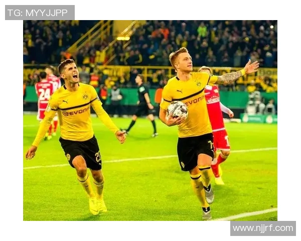多特蒙德与弗莱堡精彩对决全场录像回放及精彩瞬间分析