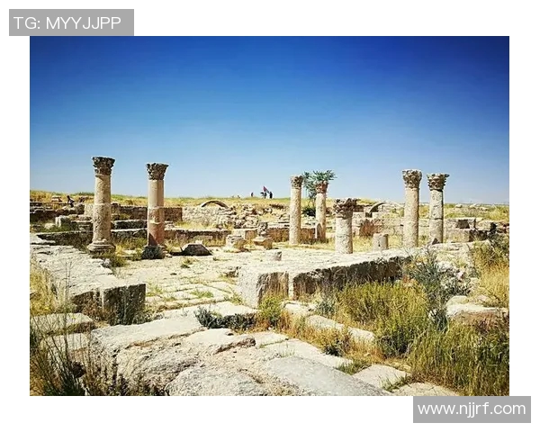 新城堡与阿德莱的对决解析：战术较量与球员表现的全面分析